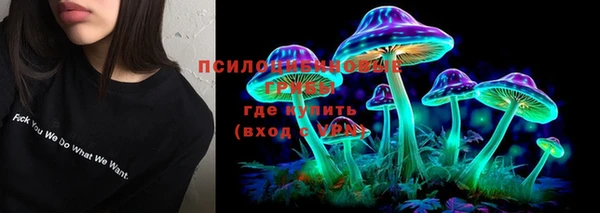 индика Покров