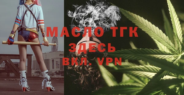 индика Пересвет