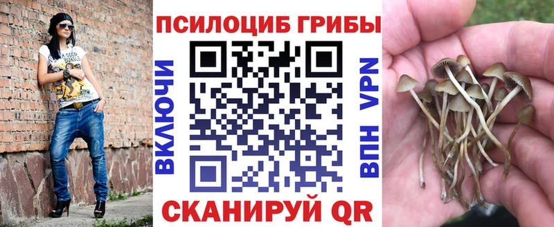 Псилоцибиновые грибы GOLDEN TEACHER  Севск 
